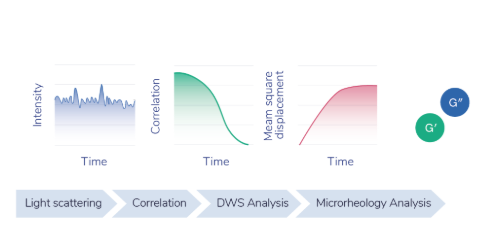 Diffusing Wave Spectroscopy