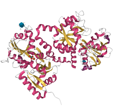 protein 2